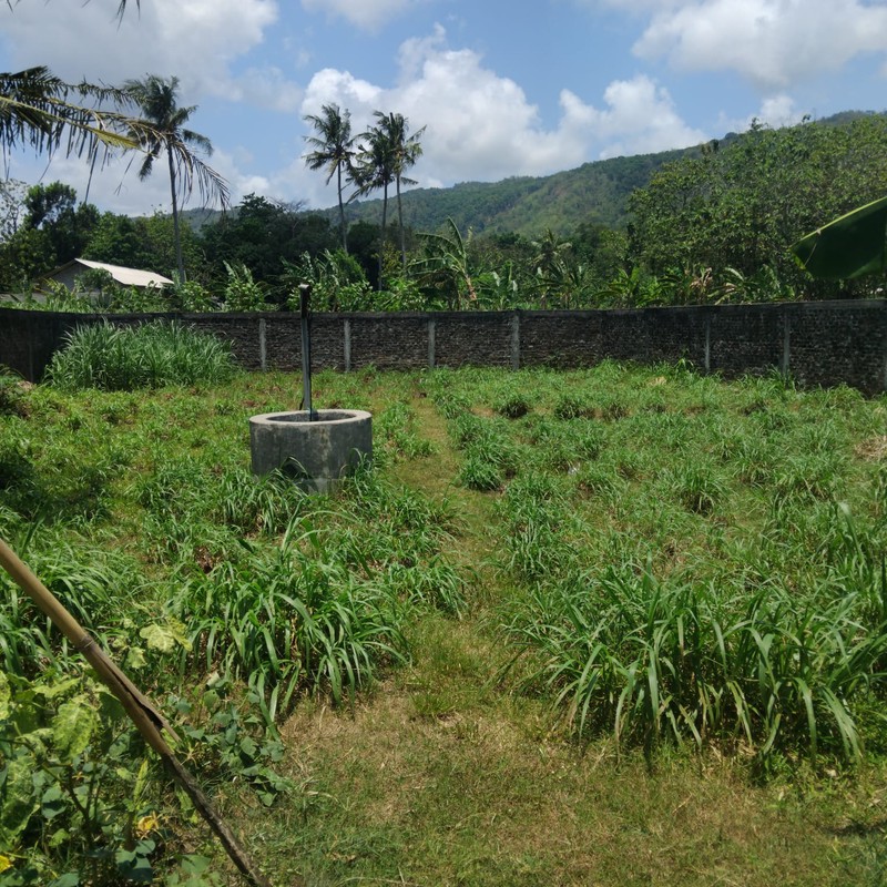 Lahan luas 830 Meter Persegi Cocok Untuk Pertanian atau Agrowisata Lokasi Seloharjo Pundong Bantul