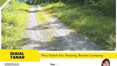 tanah murah way gubag panjang bandar lampung