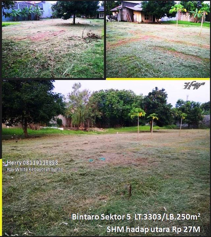 Tanah Hunian Luas Dijual di Bintaro Sektor V Untuk Dibangun Mansion atau Kost