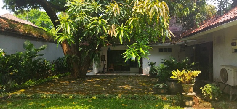 Rumah Menteng Paling Adem Dan  Nyaman