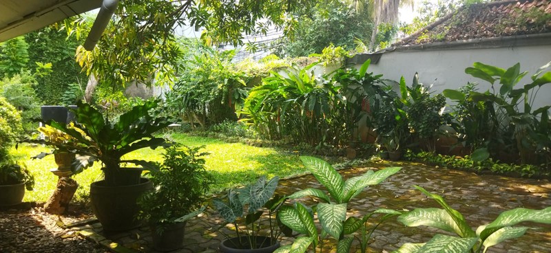 Rumah Menteng Paling Adem Dan  Nyaman