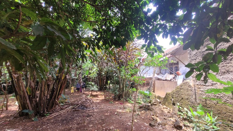 Jual Cepat Tanah Kebun di Sawangan, Depok