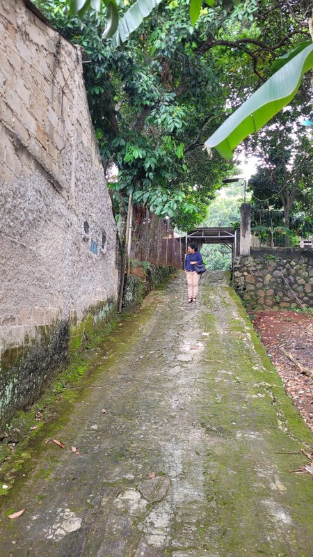 Jual Cepat Tanah Kebun di Sawangan, Depok