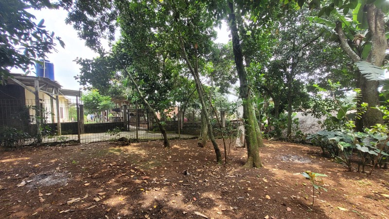 Jual Cepat Tanah Kebun di Sawangan, Depok