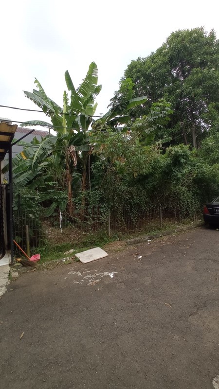 Kavling Kecil Hoek Nusa Loka BSD city