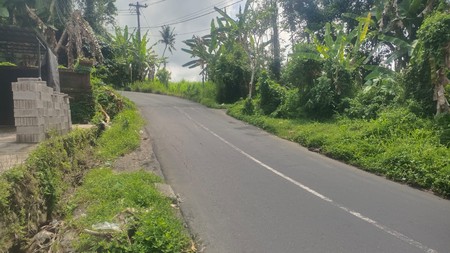 Land Freehold In Great Area Gianyar Bali