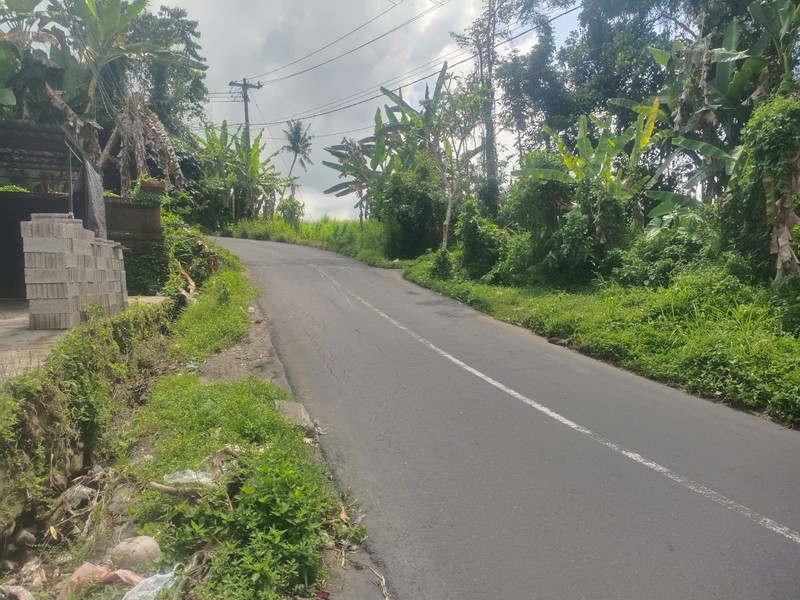 Land Freehold In Great Area Gianyar Bali