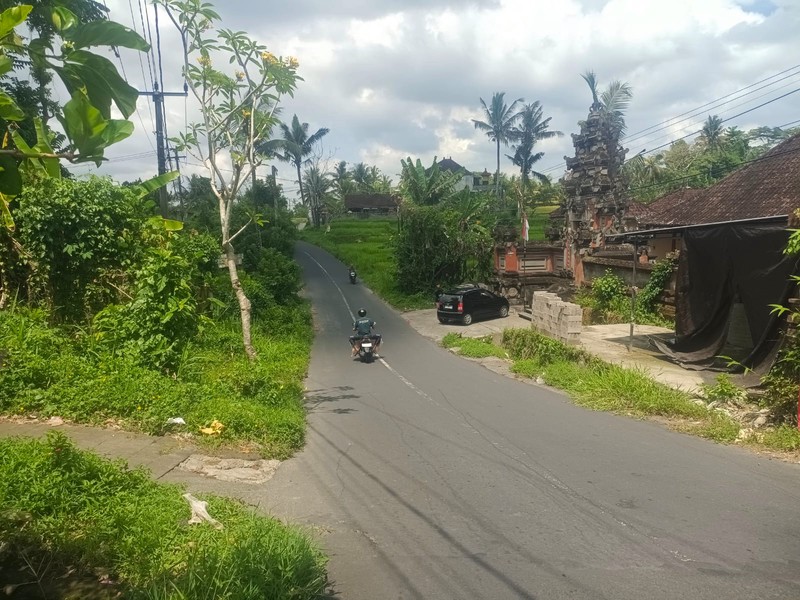 Land Freehold In Great Area Gianyar Bali