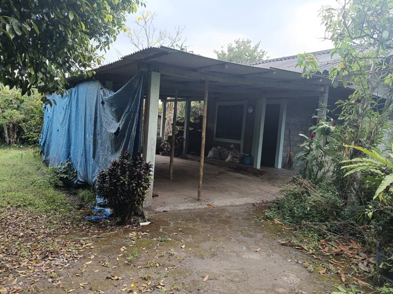 Tanah 24600 Meter Persegi Cocok Untuk Homestay/Glamping, Wonokerto, Turi