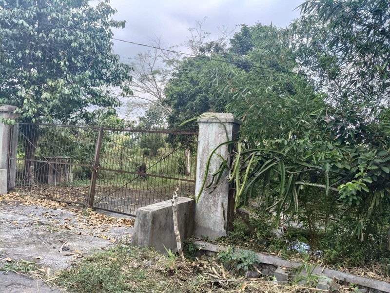 Tanah 24600 Meter Persegi Cocok Untuk Homestay/Glamping, Wonokerto, Turi