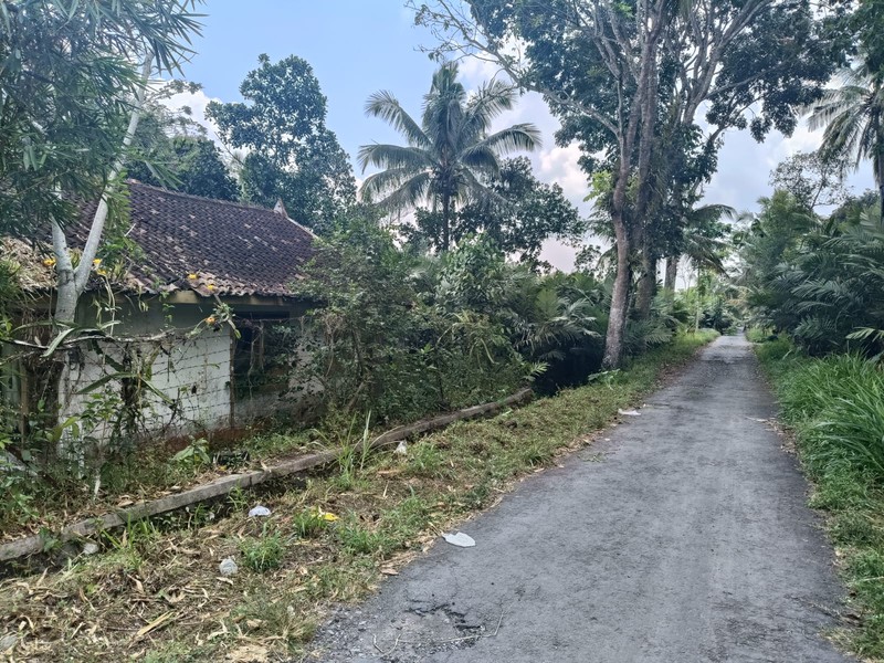 Tanah 24600 Meter Persegi Cocok Untuk Homestay/Glamping, Wonokerto, Turi