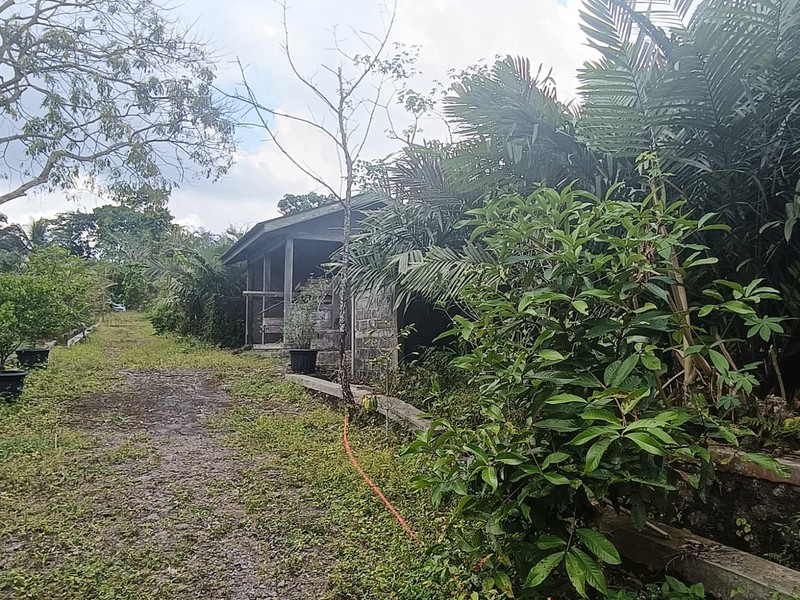 Tanah 24600 Meter Persegi Cocok Untuk Homestay/Glamping, Wonokerto, Turi