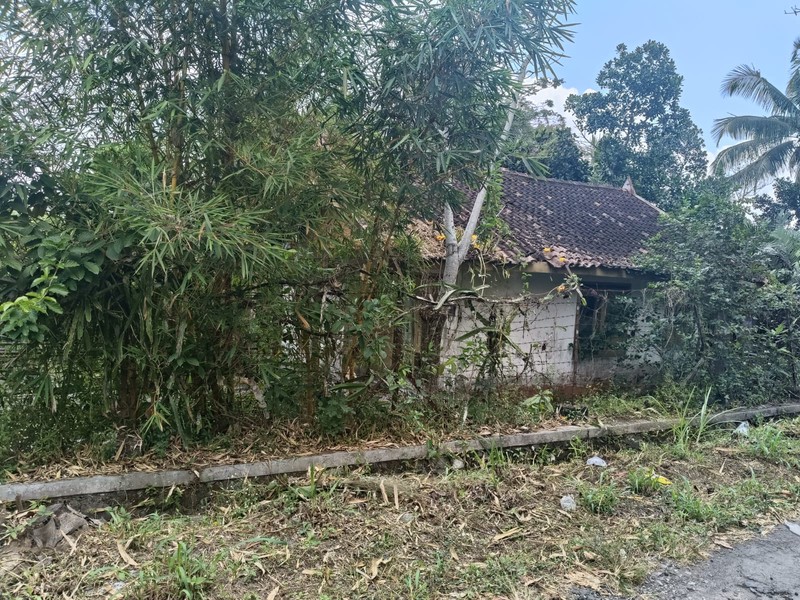 Tanah 24600 Meter Persegi Cocok Untuk Homestay/Glamping, Wonokerto, Turi