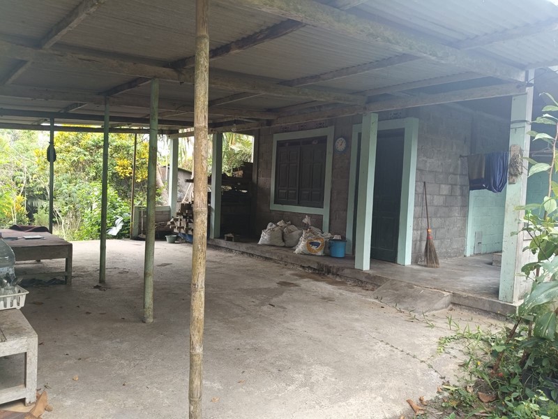 Tanah 24600 Meter Persegi Cocok Untuk Homestay/Glamping, Wonokerto, Turi