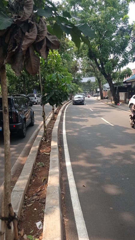 Kavling di Bouelevar  Jl. raya Kencana Loka BSD