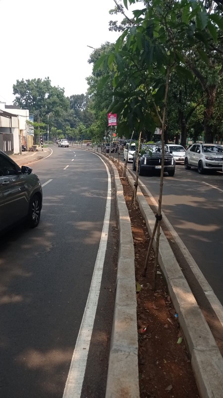 Kavling di Bouelevar  Jl. raya Kencana Loka BSD