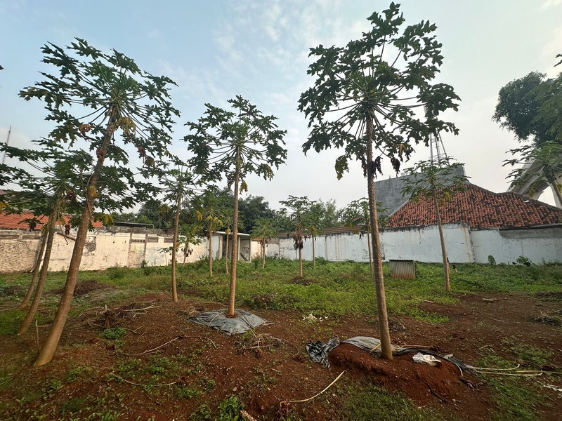 Dijual Gedung Strategis di Kawasan Proklamasi - Menteng