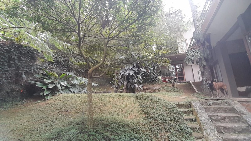 Rumah Besar  Nyaman, Villa Trinity Kampung Daun - Sersan Bajuri Bandung 