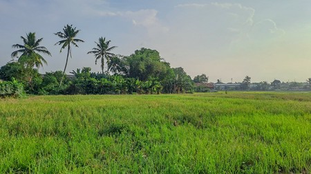 Tanah Strategis di Serang Banten dekat Kawasan Industri Balaraja