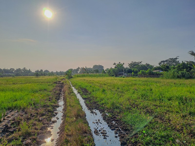 Tanah Strategis di Serang Banten dekat Kawasan Industri Balaraja