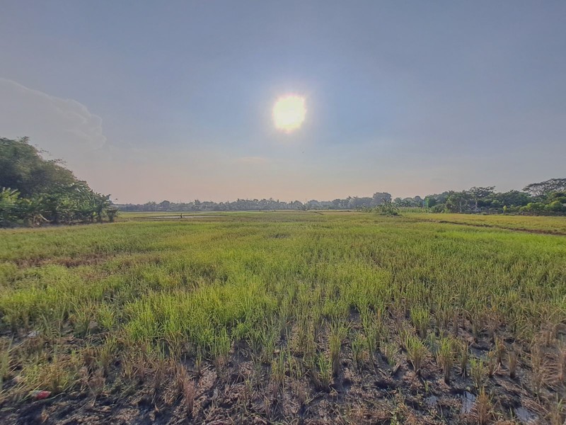 Tanah Strategis di Serang Banten dekat Kawasan Industri Balaraja