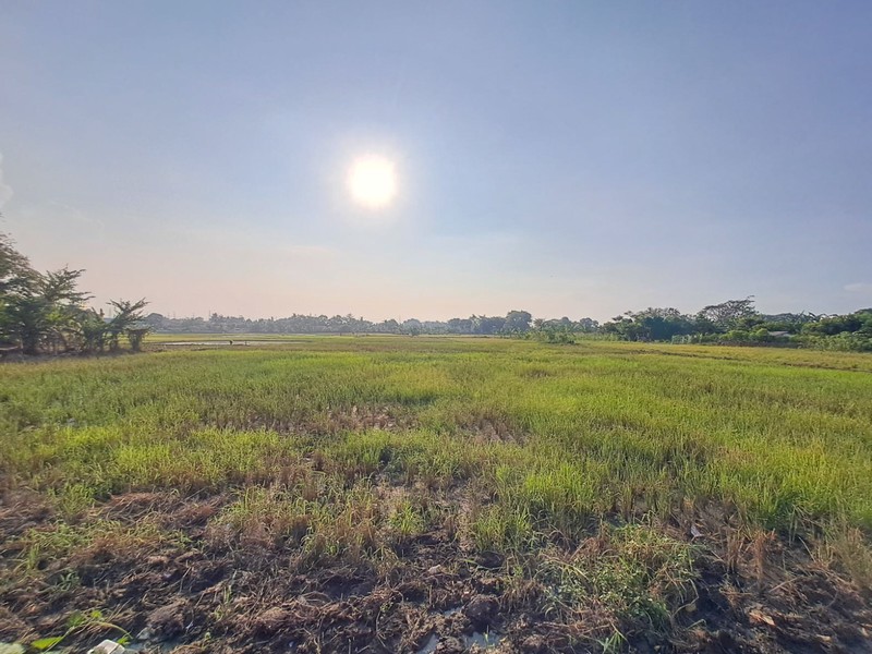 Tanah Strategis di Serang Banten dekat Kawasan Industri Balaraja