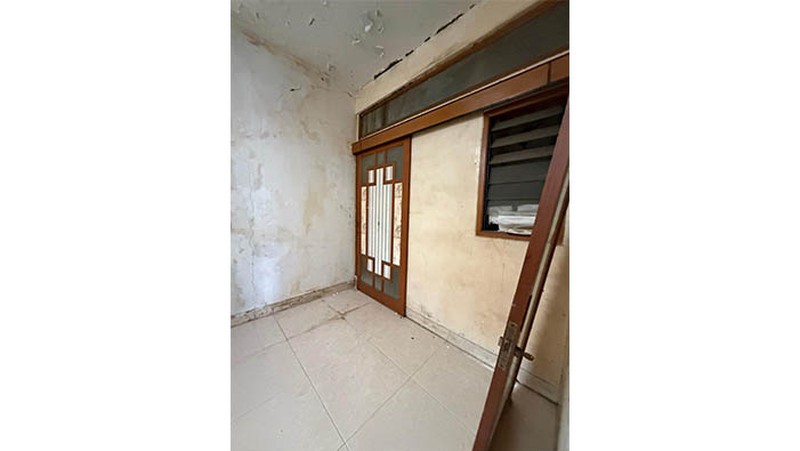 Rumah Kelapa Hybrida, Kelapa Gading