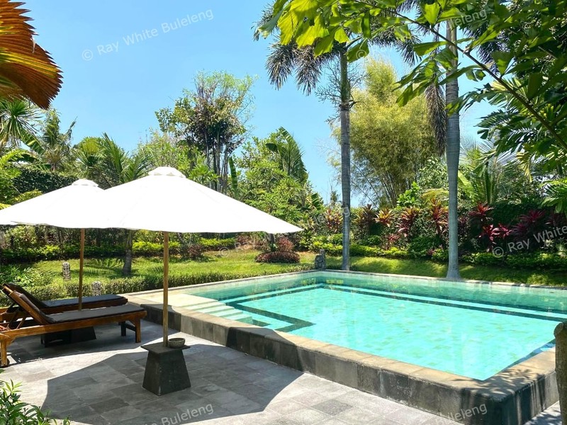 Charming Tropical Villa in Kayu Putih, Lovina