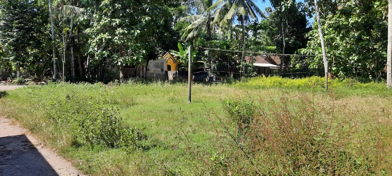 Tanah Pekarangan di Caturharjo, Pandak, Bantul, Lokasi strategis hanya 600 meter dari Jalan Srandakan