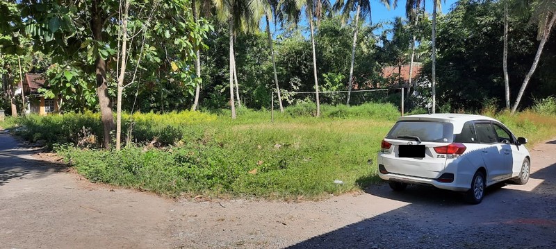 Tanah Pekarangan di Caturharjo, Pandak, Bantul, Lokasi strategis hanya 600 meter dari Jalan Srandakan