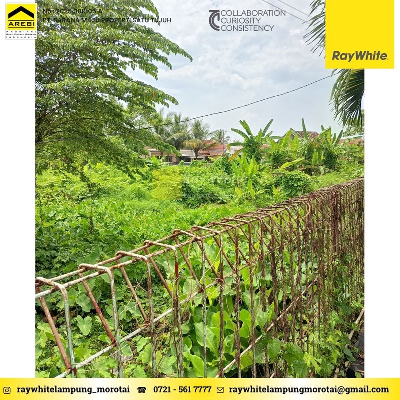 Dijual Tanah lokasi Sukamaju Teluk betung barat mangku jalan utama R.E. Martadinata Bandar Lampung 