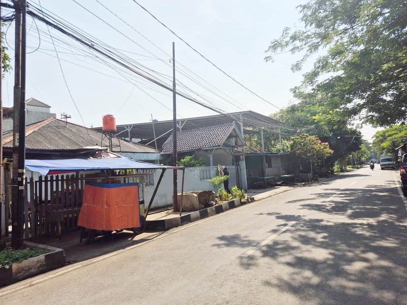 Rumah 1 Lantai, Kayu Putih