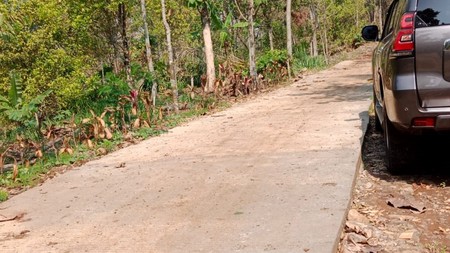 Dijual Tanah Strategis di Jalan Wonosalam Jombang