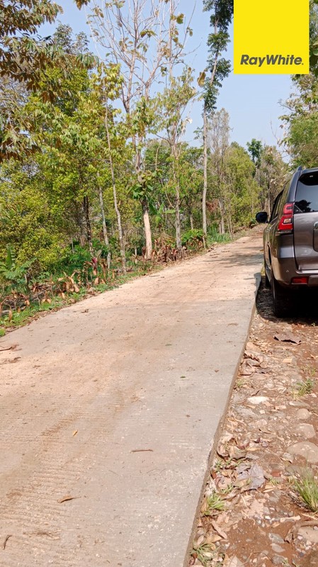 Dijual Tanah Strategis di Jalan Wonosalam Jombang