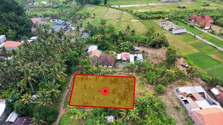 Prime 1200 Sqm Land in Lovina - Perfect for Your Dream Villa