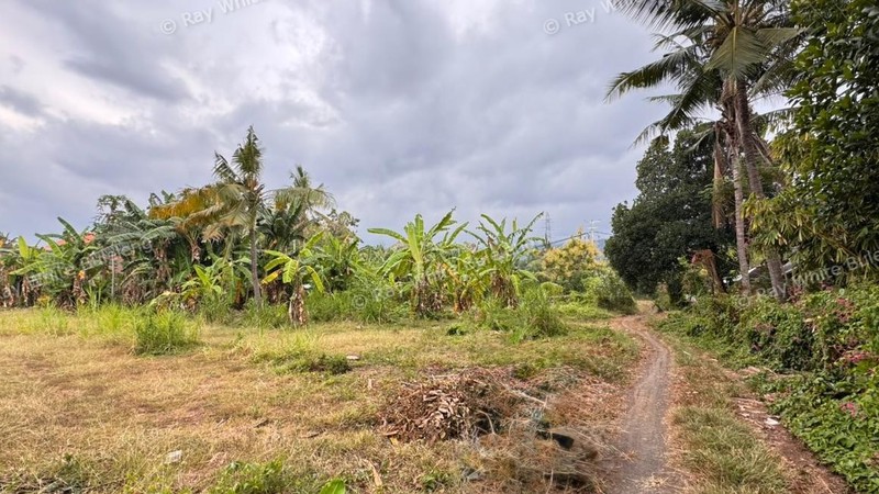 Prime 1200 Sqm Land in Lovina - Perfect for Your Dream Villa