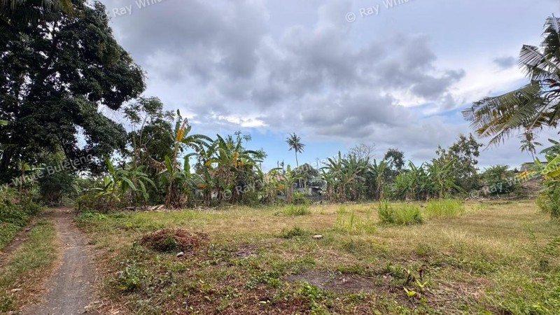 Prime 1200 Sqm Land in Lovina - Perfect for Your Dream Villa