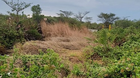 Dijual Tanah Murah Strategis di Gunung Anyar Surabaya