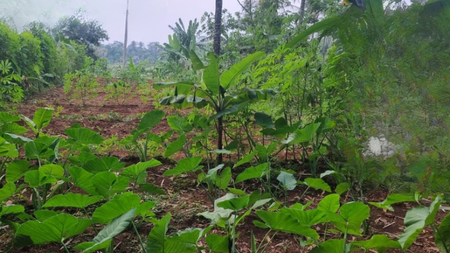 Dijual Tanah Siap Bangun di Cianjur