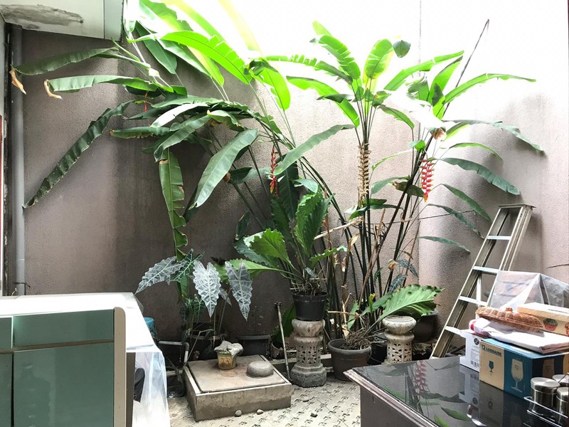 Rumah Siap Huni, Halaman Luas dan Hunian Nyaman @Puri Bintaro