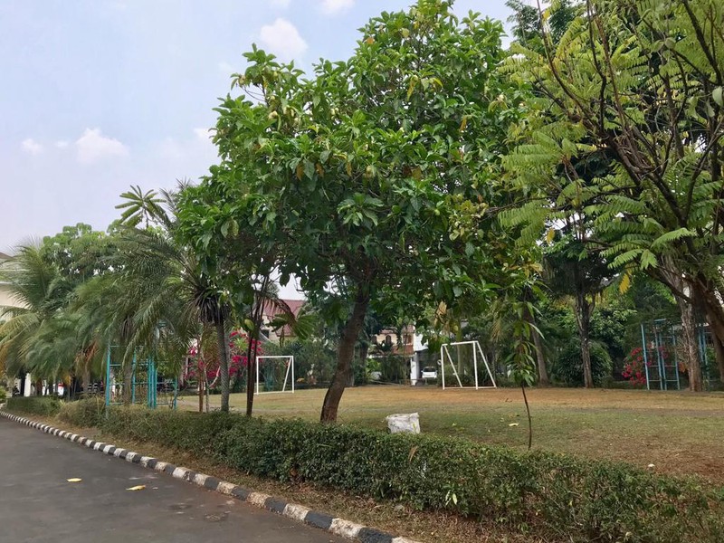 Rumah MEWAH, Halaman Luas, dan Hunian Asri @Bintaro