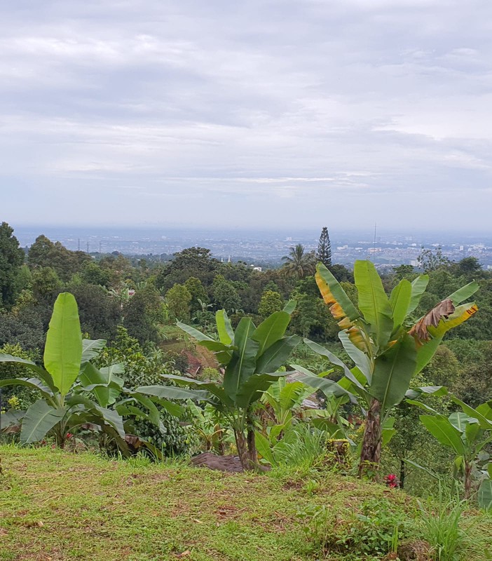 Kavling Cocok Untuk Resort dan Terdapat Air Terjun @Kp Gati, Sukharja, Cijeruk, Bogor