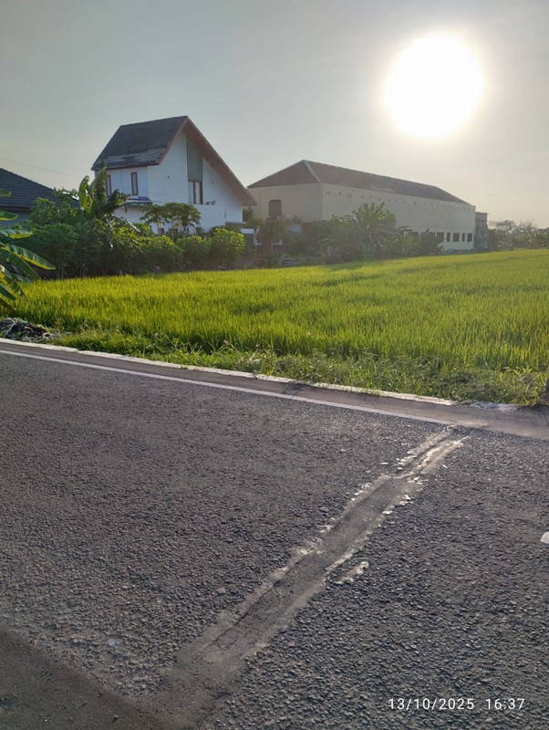 Tanah Pekarangan 1264 Meter Persegi, Lokasi Dekat Jalan Imogiri Barat, Bangunharjo, Sewon, Bantul