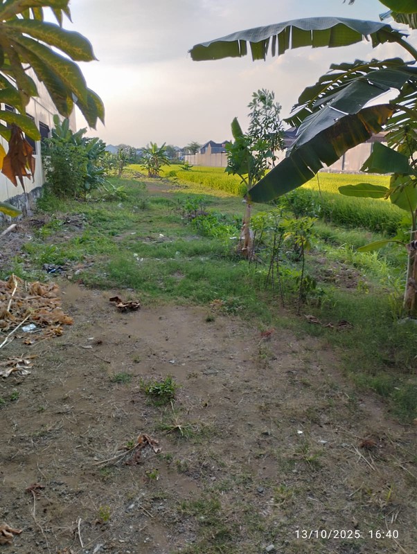 Tanah Pekarangan 1264 Meter Persegi, Lokasi Dekat Jalan Imogiri Barat, Bangunharjo, Sewon, Bantul