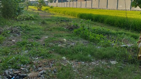 Tanah Pekarangan 1264 Meter Persegi, Lokasi Dekat Jalan Imogiri Barat, Bangunharjo, Sewon, Bantul