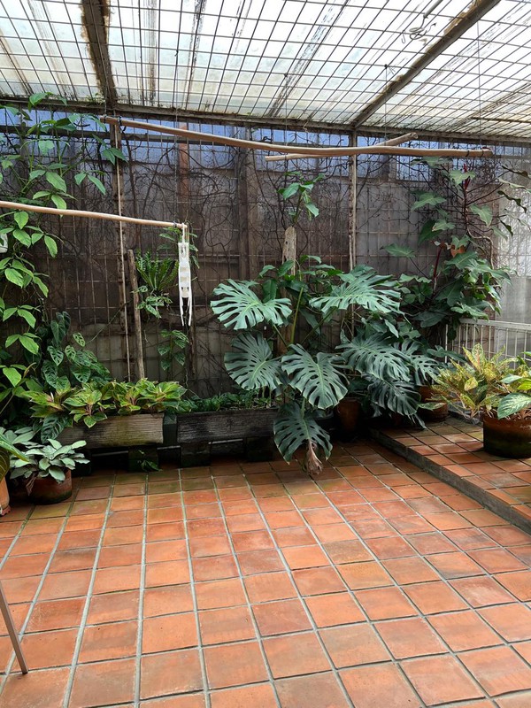Rumah Tinggal Di Daerah Cilandak, Jakarta Selatan