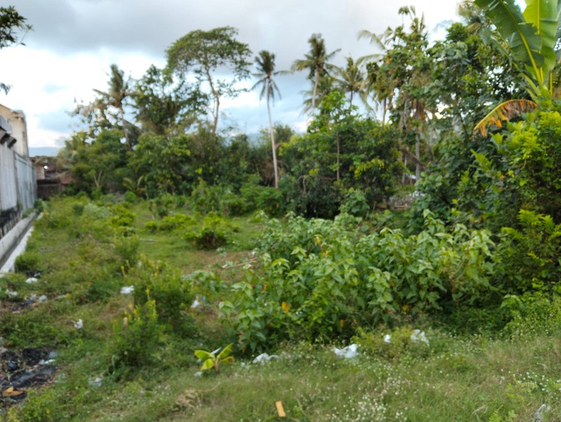 Investasi Tanah Komersial di Pinggir Jalan Parangtritis KM 21, Kretek Bantul