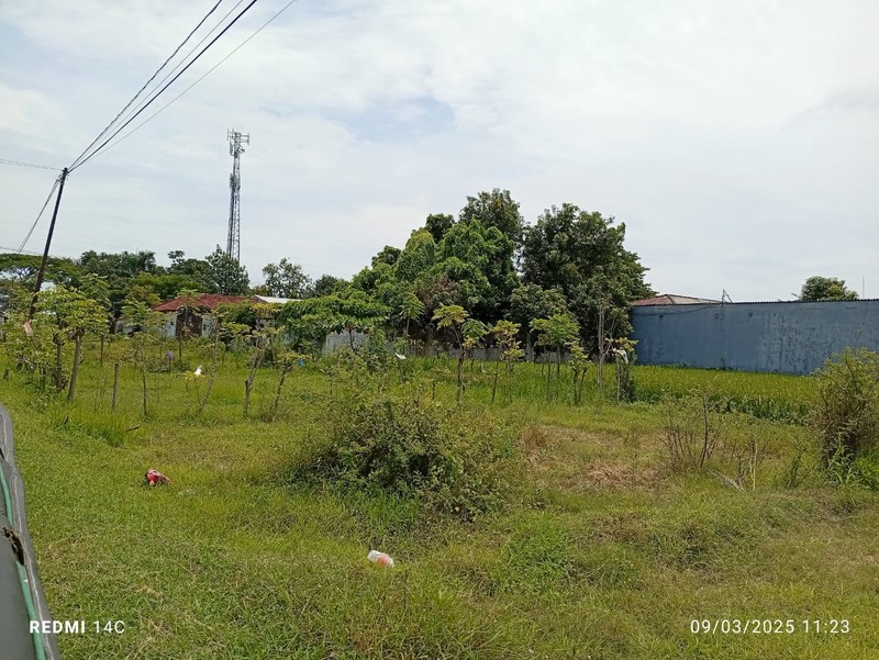 Dijual 5165 m2 Tanah Nol Jalan Raya Pantura Probolinggo JATIM - Jalan Raya Banjarsari - Sumbersari - Probolinggo Jatim Komersial Area Cocok Buat Segala Usaha - Surat SHM