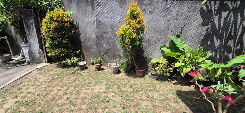Freehold - Rare Opportunity house for Sale in Berawa Canggu, Bali at a Competitive Price