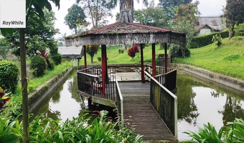 FOR SALE Tanah Murah dan Strategis View Pegunungan Dekat Dengan Taman Safari Jalan Cisarua Raya Bogor Jawa Barat